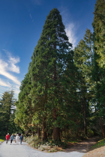 An dieser Stelle kommt Luminar Neo mit der Himmelbearbeitung zur Rettung: Wir haben den ursprünglichen Himmel komplett gegen einen neuen ausgetauscht. (Bild: Tobias Költzsch/Golem.de)